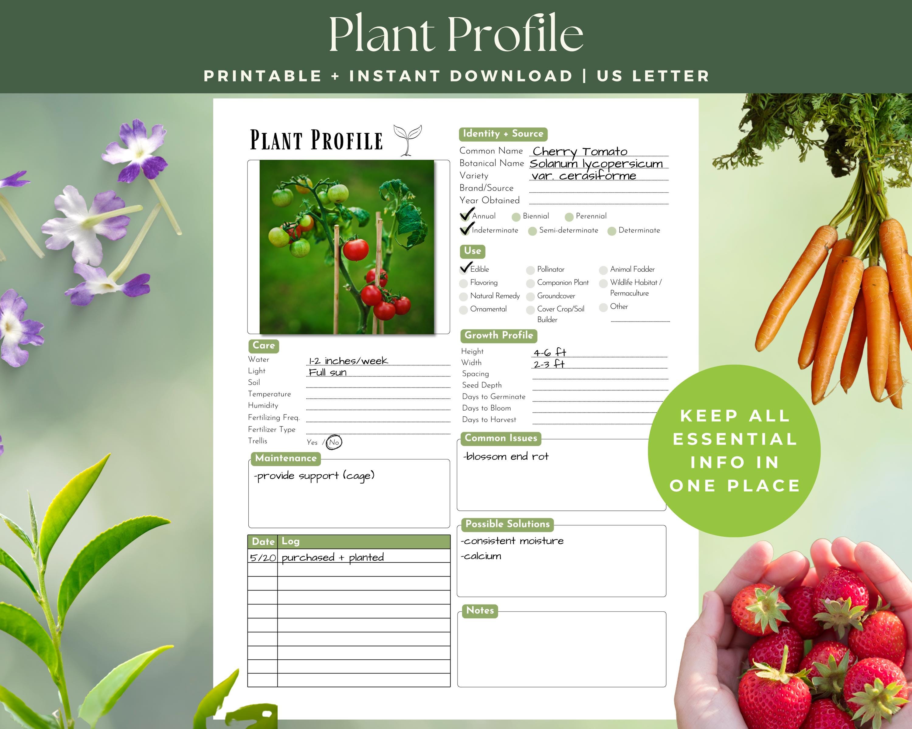 Plant Profile Card - Etsy