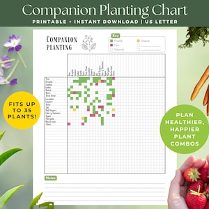 May include: A printable companion planting chart with the text "Companion Planting Chart" and "Printable + Instant Download | US Letter". The chart includes a key for friend, foe, and neutral plants. The chart fits up to 35 plants.