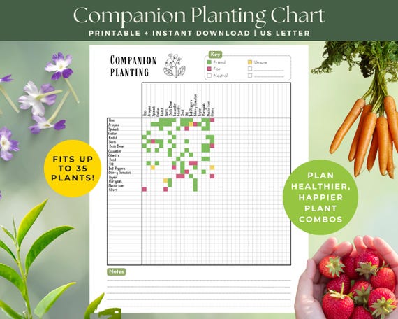 Companion Planting Chart, Printable Garden Journal Page, Gardening Planner, Garden Essentials, Plant Data Sheet, Garden Layout, Garden Guide