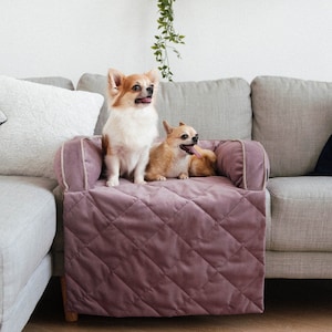 Dog couch bed in furniture velor | Small dog sofa bed | Durable Pet bed | Cat bed