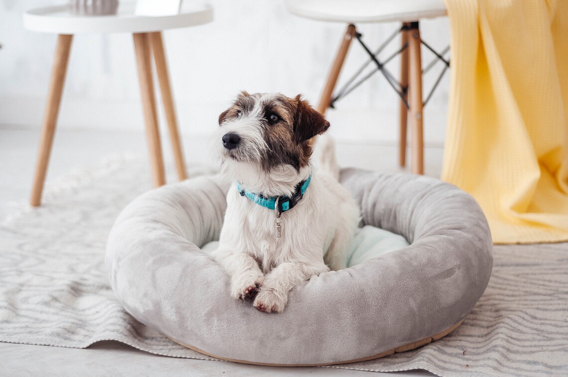 Gray & Mint Donut dog bed with removable cover Round dog bed Etsy