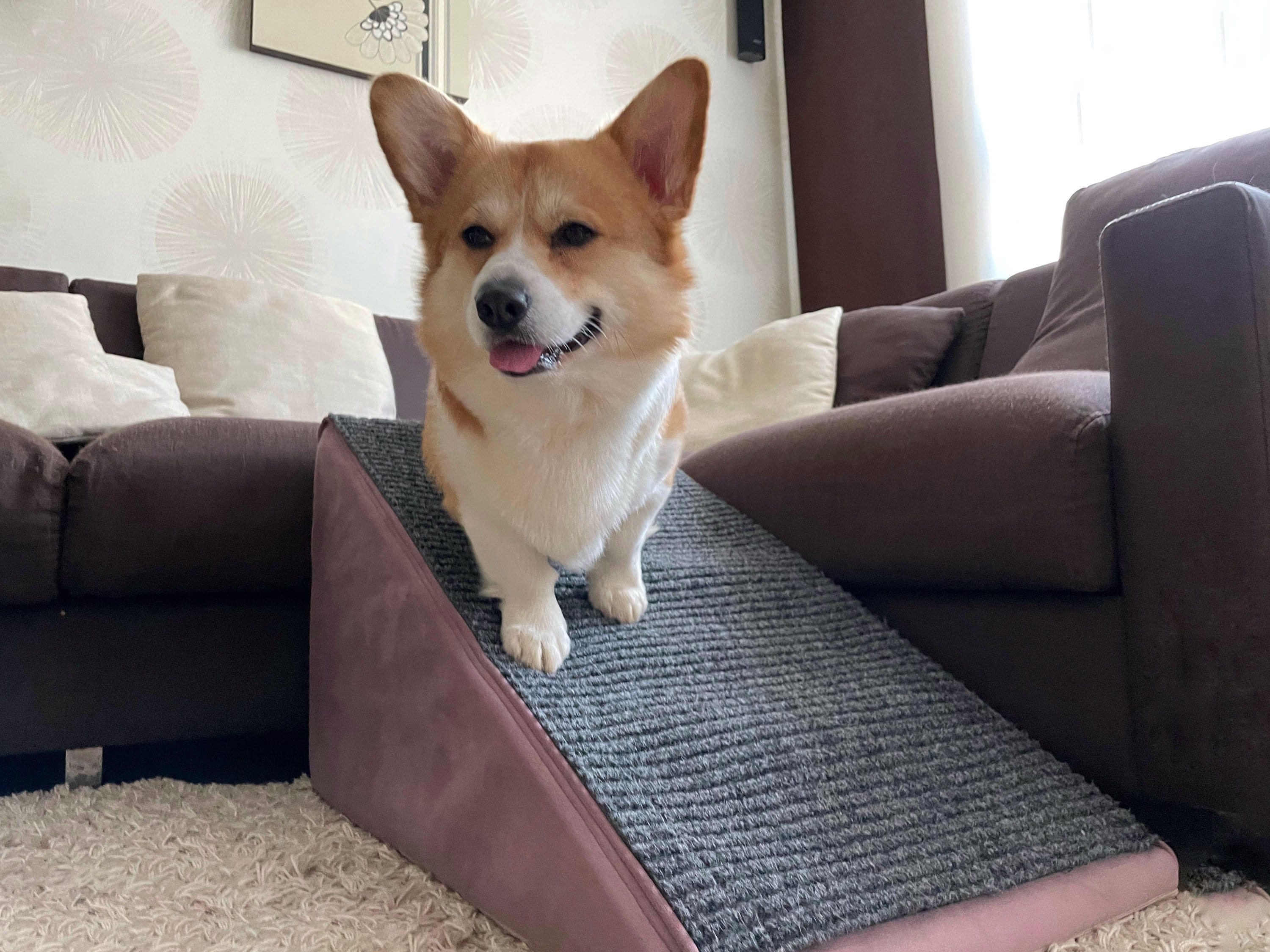 Beige Small Large Dogs Ramp Removable Washable Cover Non-Slip Pet Slope Stairs for High Bed Couch Sofa Car 30cm/40cm/50cm High 