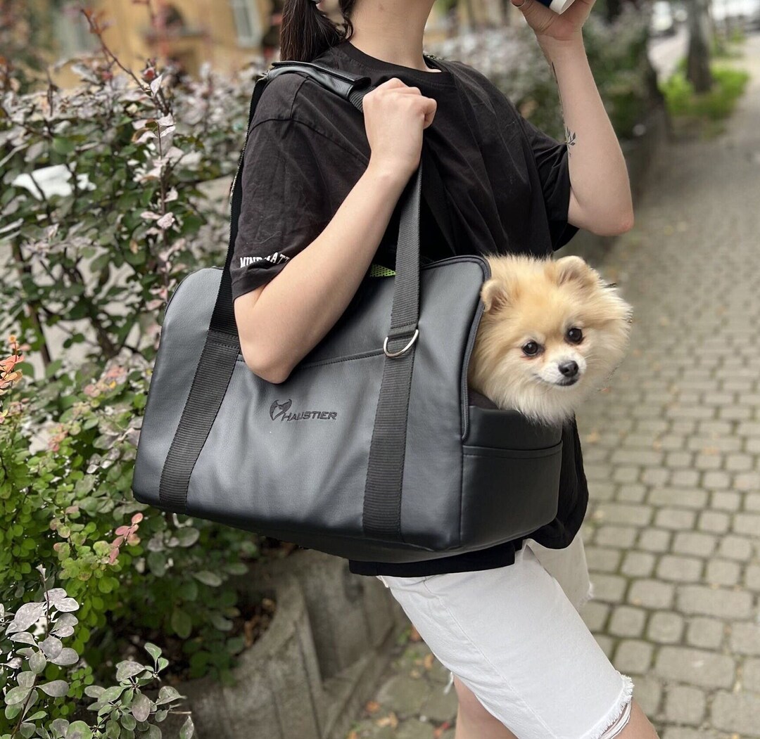 Spitz Nain Sac De Transport Pour Chihuahua Porte-animal Noir En