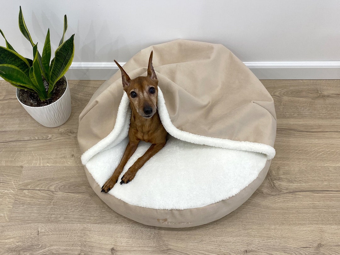 Ivory Dog Bed With Blanket Round Dog Bed With Canopy and Etsy