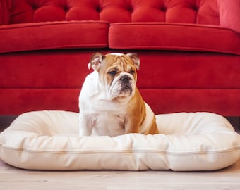 Waterproof Eco Leather Dog Bed | Removable Cover, Orthopedic Lounger