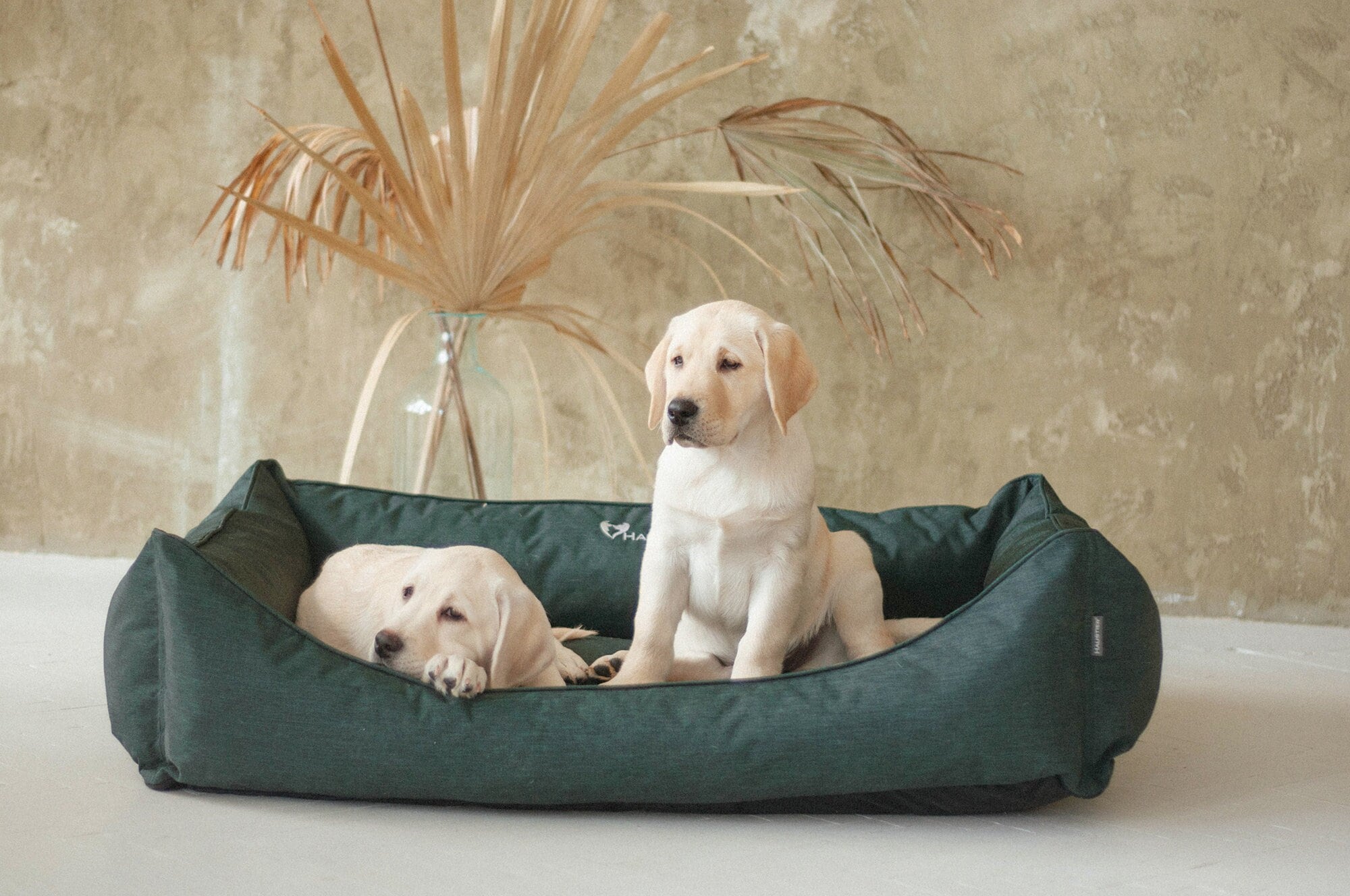 Waterproof Oxford Fabric Dog Bed | Durable Indoor Outdoor Pet Mat