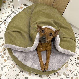 Soft Dog bed with Blanket in Olive upholstery fabric | Round dog bed with canopy and removable cover | Hooded dog bed with gray faux fur