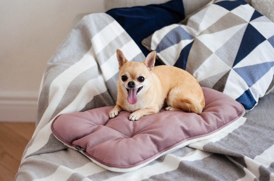 Powdery Pink Pet Pillow With Ivory Faux Fur Small Dog Pillow Etsy