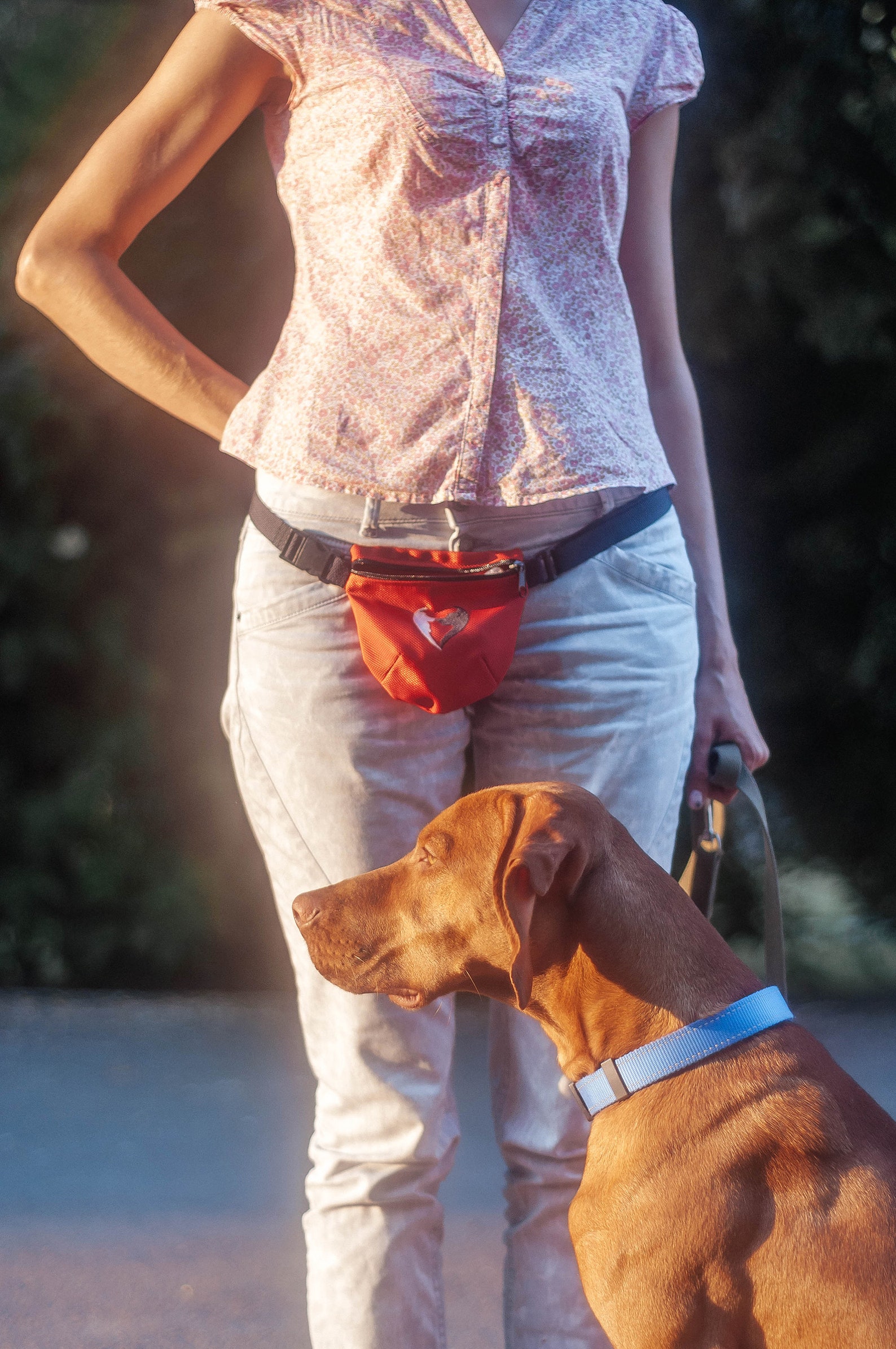 Dog Treat Bag Dog Training Treat Pouch Dog Treat Bum Bag Etsy