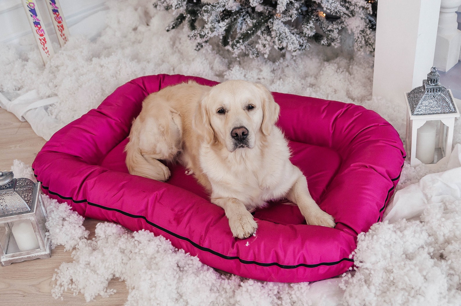Large Dog Bed in Durable Waterproof Fabric Outdoor Dog Bed Etsy