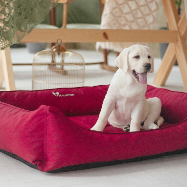 Pvc Dog Bed Etsy