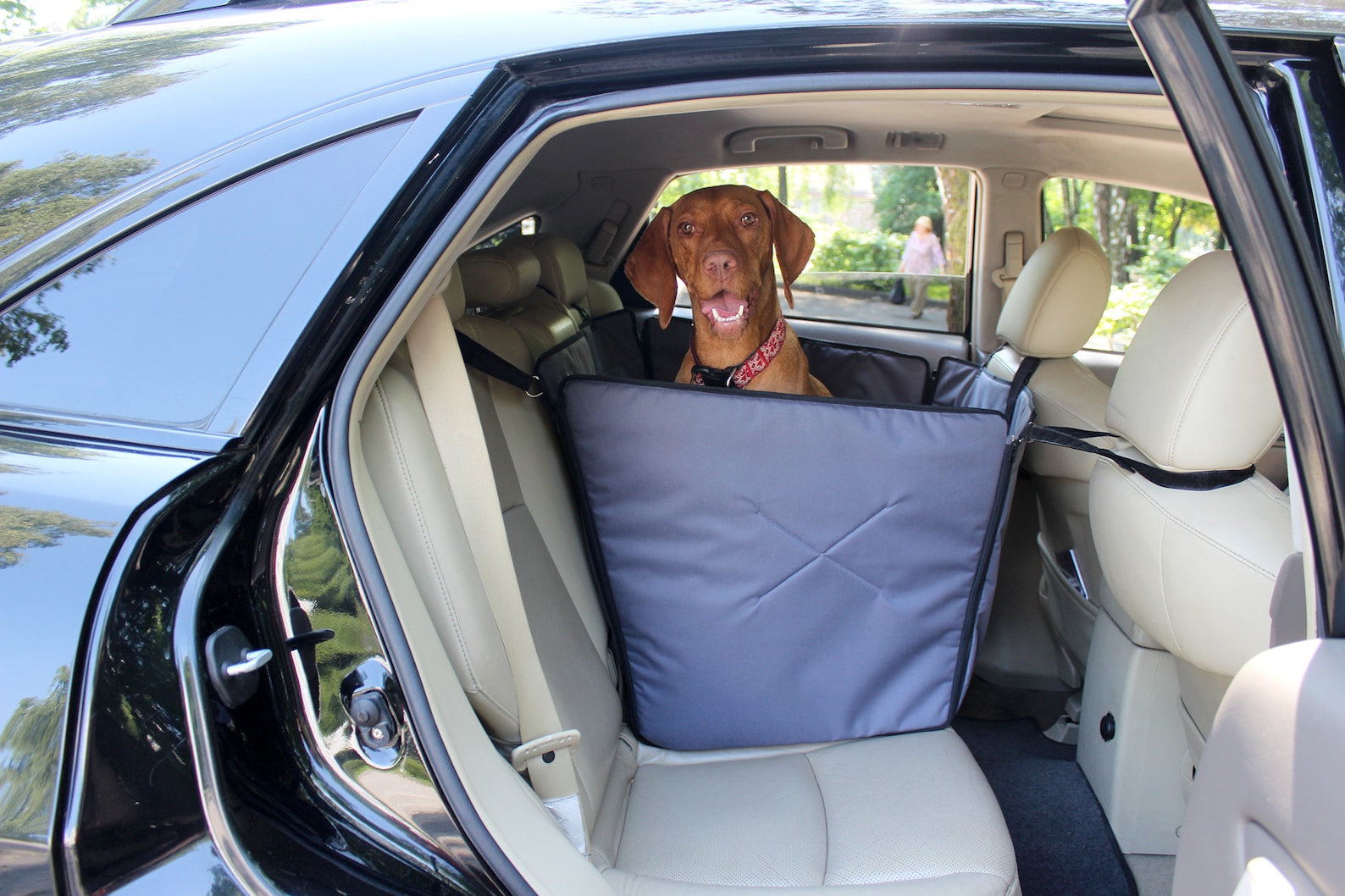 Graue Hundesitzhülle mit Türschutz Rücksitz Hund Hängematte Etsy