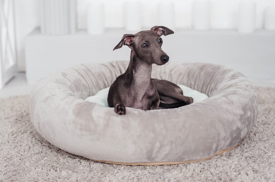 Pawsh donut cuddler 2025