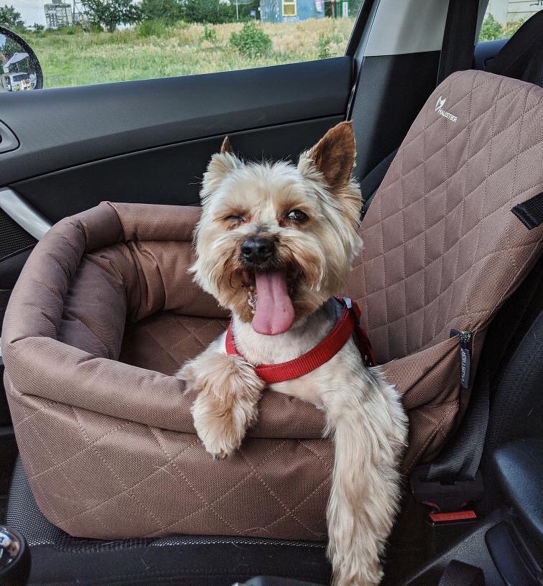 Cairn Terrier Car Console Cover - Black Cairn Terrier Car Console Cover - Black