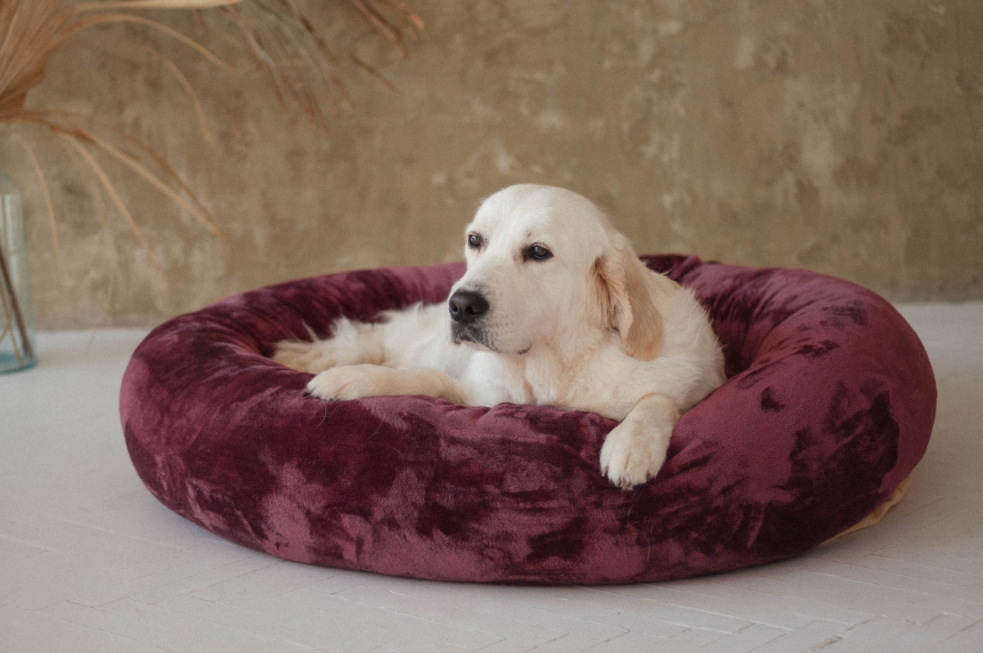 4 Benefits of Marshmallow Beds for Pets