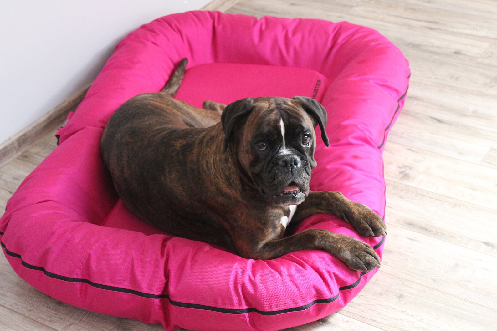 Large Dog Bed in Durable Waterproof Fabric Outdoor Dog Bed Etsy