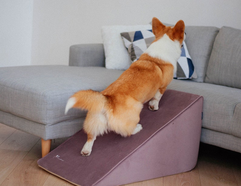 Foam Dog Ramp for Bed Ramps for Dachshunds Dog Ramp for Etsy
