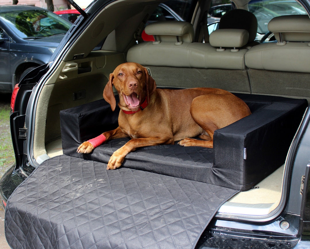 Siège d'auto SUV pour chiens, lit pour animaux de compagnie avec sangle