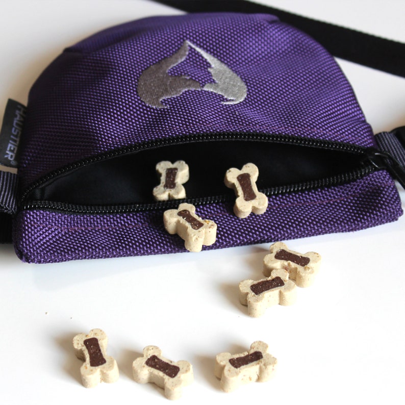 Dog Treat Bag Dog Training Treat Pouch Dog Treat Bum Bag Etsy