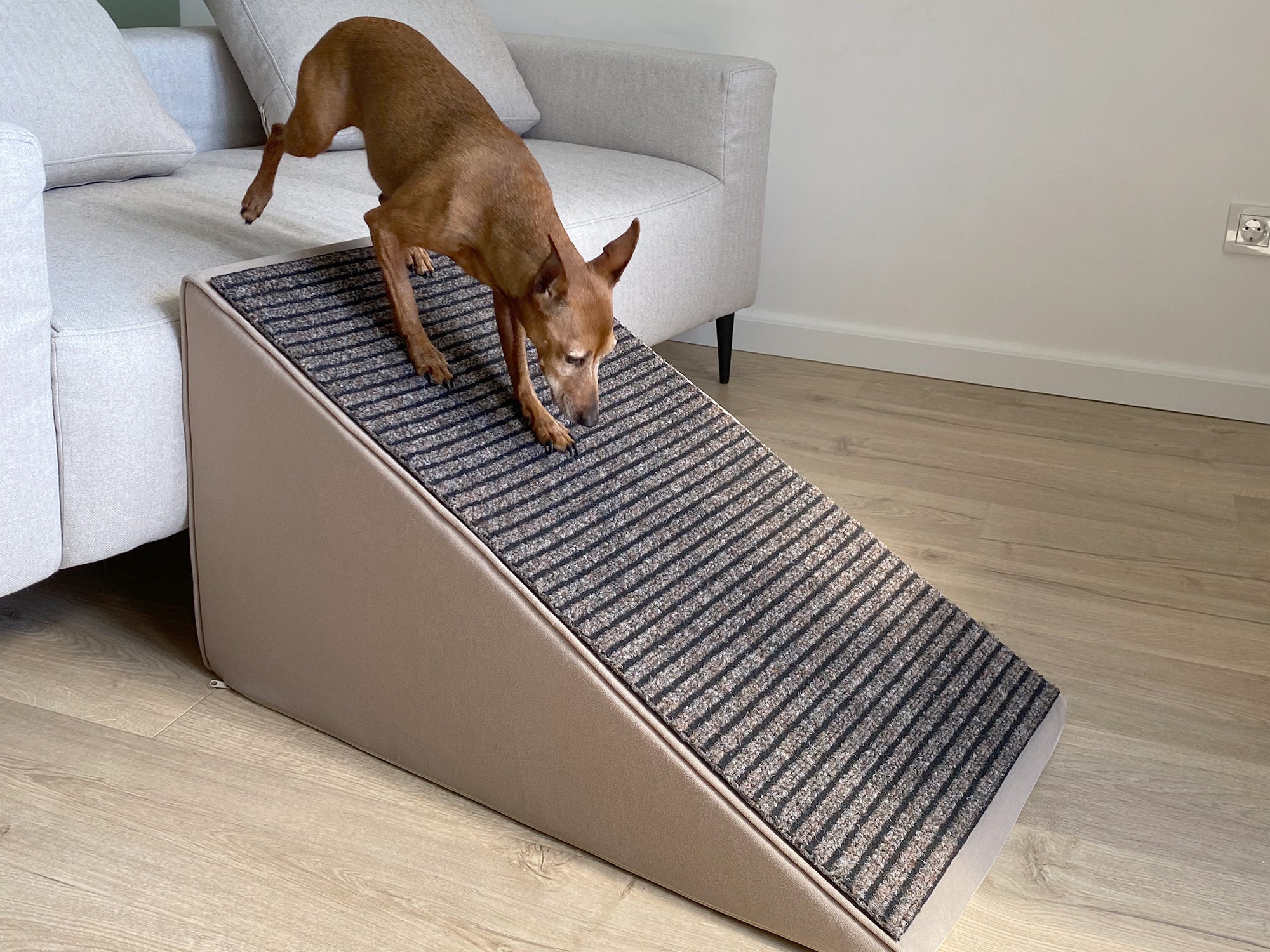 Dachshund sofa ramp cheap