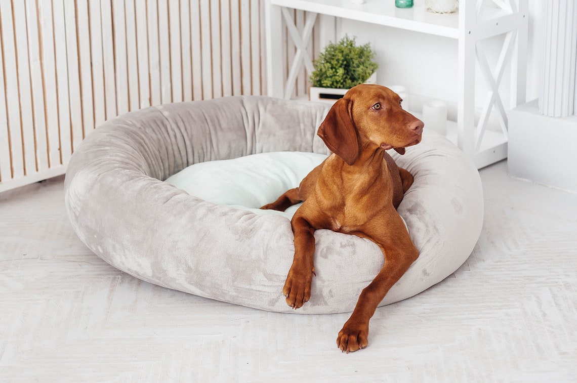 Gray & Mint Donut dog bed with removable cover Round dog bed Etsy