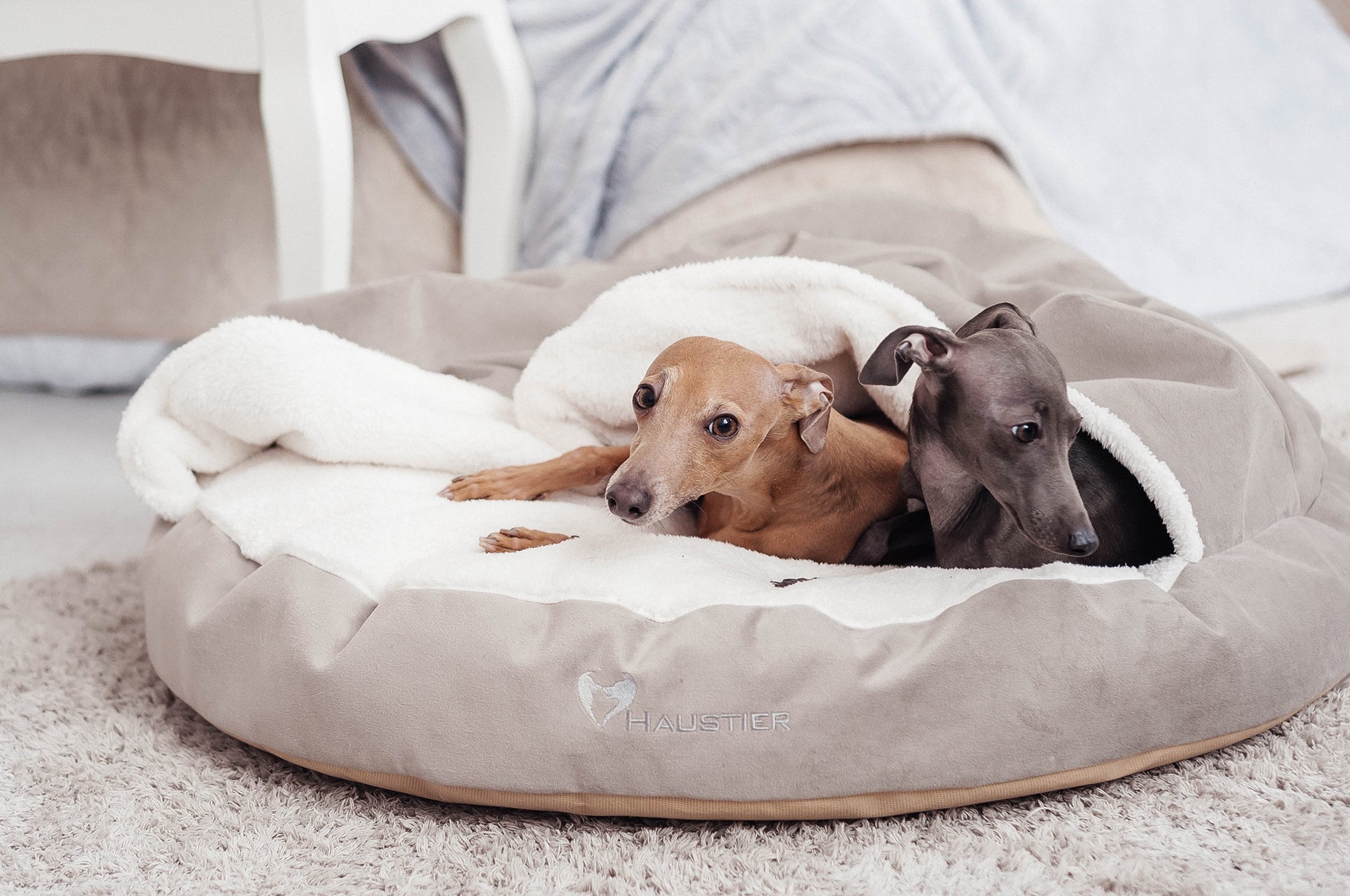 Blog Posts, image size:2000x1328