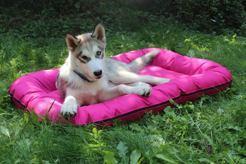 Large Dog Bed in Durable Waterproof Fabric Outdoor Dog Bed Etsy