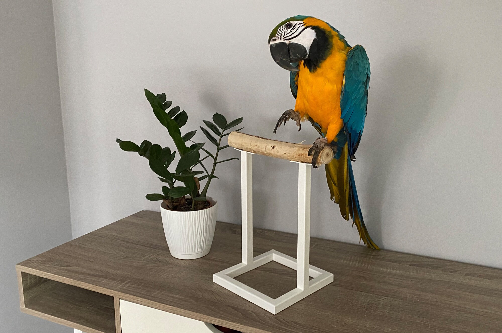 Random Color Litewood Wood Pet Bird Stand Perch Parrot Bath Stands Suppllies Bird Stand Pet Standing Platform Frame Pet Toy with Cup 
