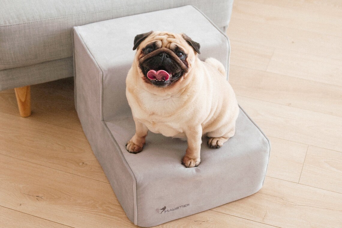 Dog stairs on 2 steps Foam pet Steps for small dogs Puppy Etsy