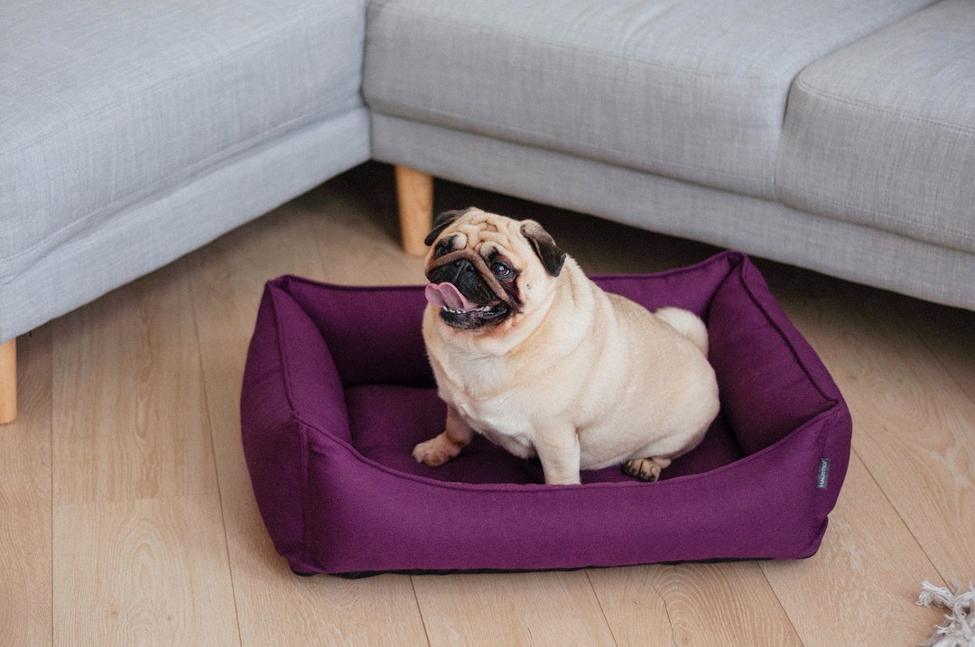 Purple Pet Bed With Removable Cover Orthopedic Dog Bed Small Dog & Cat