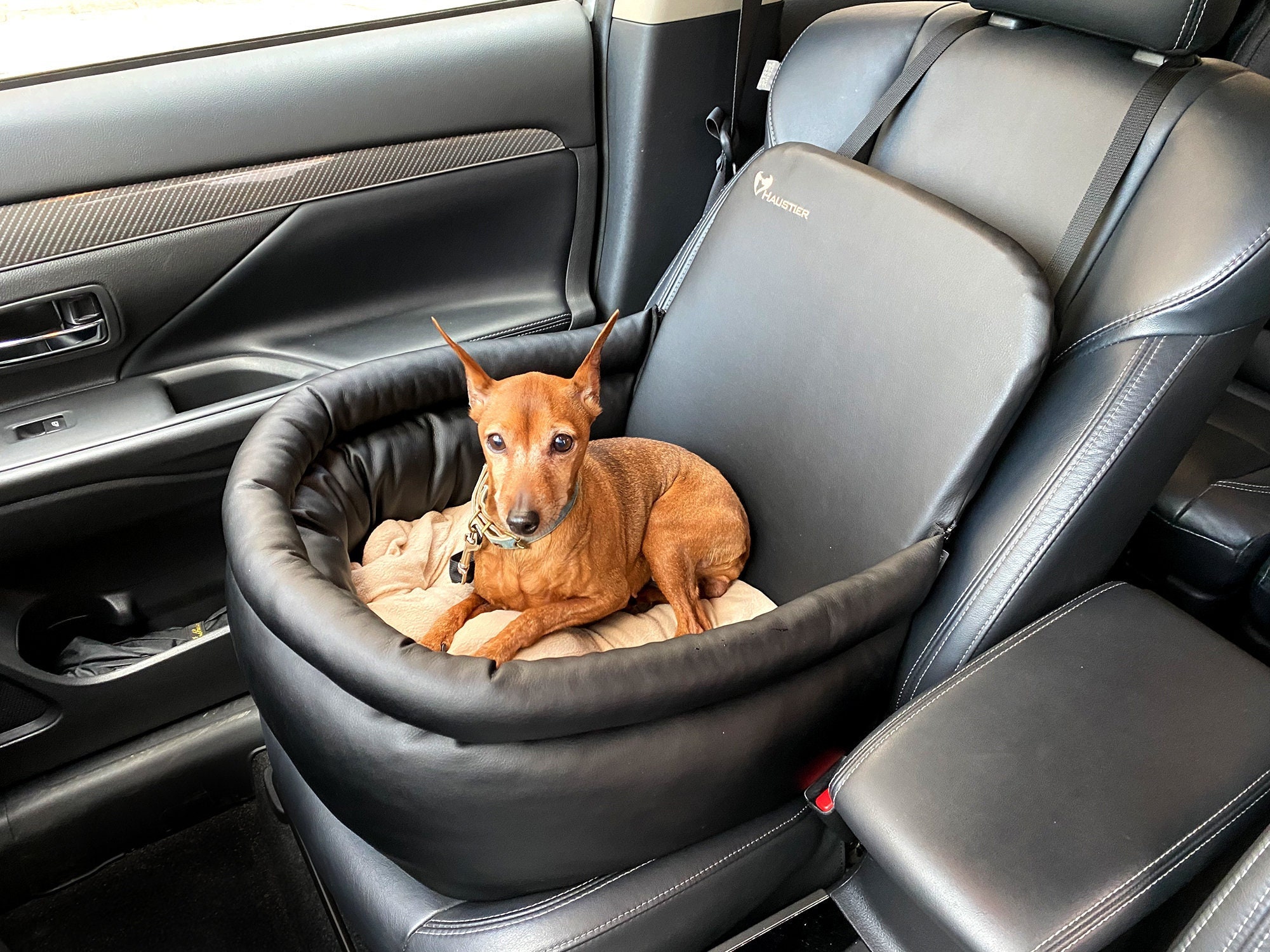 Acheter Accoudoir de voiture sécurisé, rehausseur de lit de chenil, siège  de voiture Portable pour chien, commande centrale, porte-chien antidérapant  pour petit chat et chien, voyage