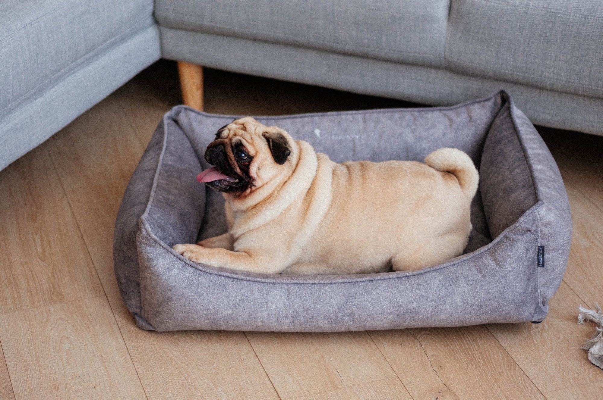 Indestructible dog bed with removable cover Modern dog bed Etsy