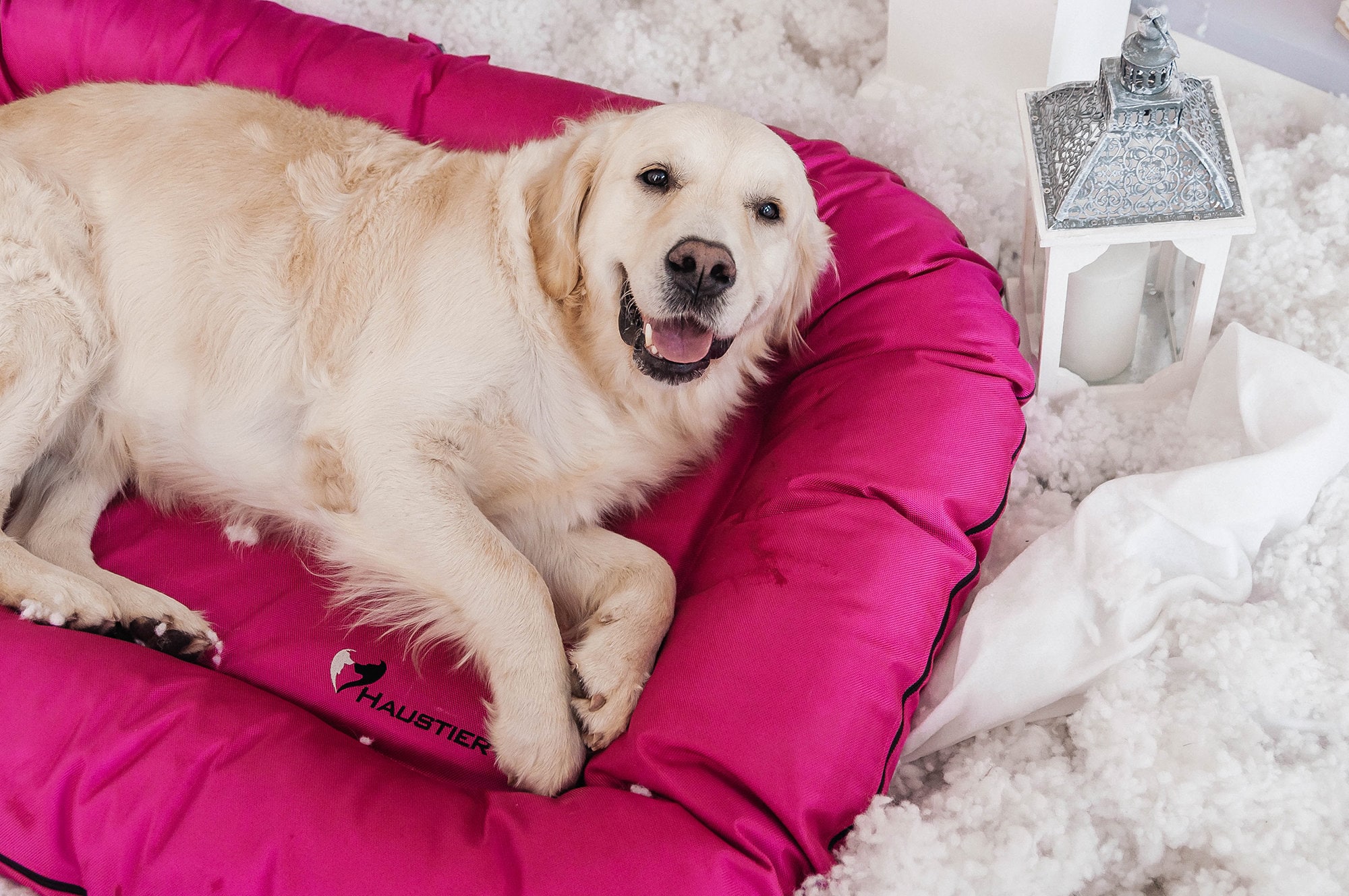 Large dog bed in durable waterproof fabric Outdoor dog bed Etsy