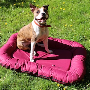 Burgundy Outdoor dog bed | Medium & Large dog bed | Washable dog bed with removable cover | Dog bed cushion | Durable dog beds