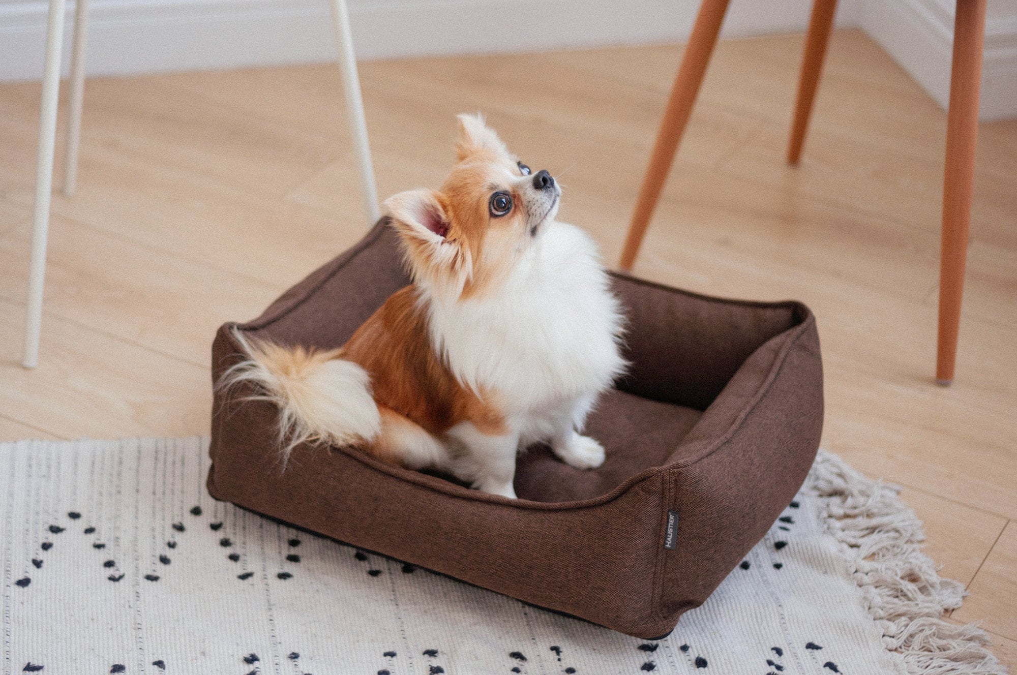 Brown Pet Bed | Removable Cover, Eco-friendly Dog & Cat Mat - Etsy
