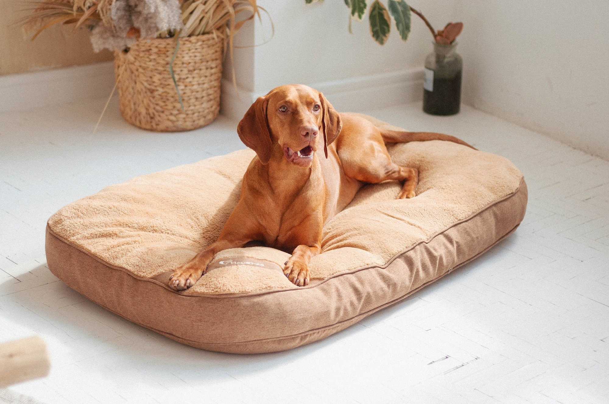 soft dog pillow plush