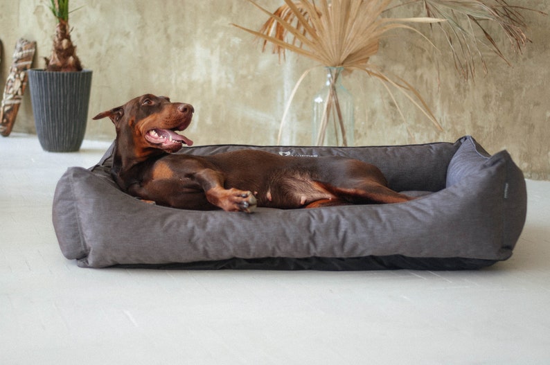 PVC Dog Bed With Removable Cover Heavy Duty Dog Bed Etsy