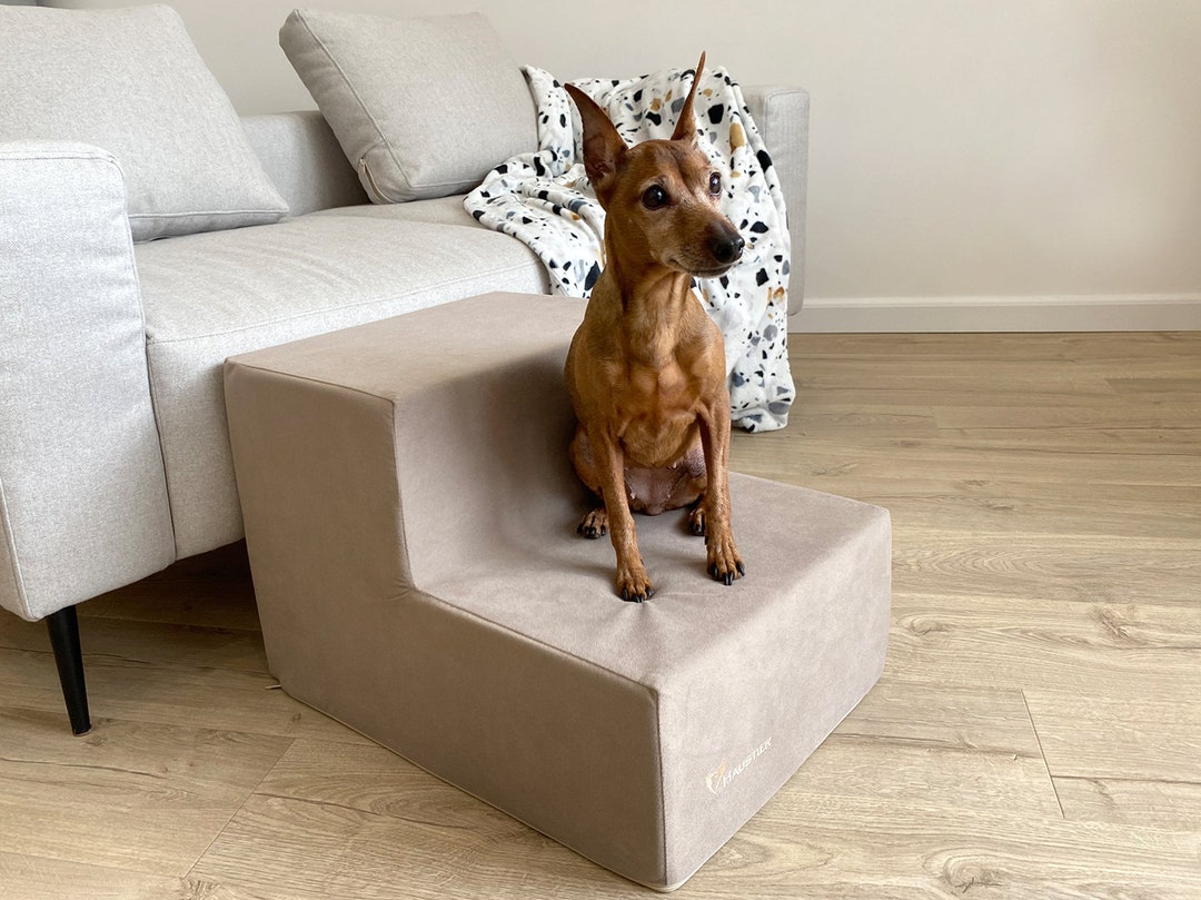 Two Step Dog Beige 2-step Dog Stairs | Foam Pet Steps for Small Dogs - Etsy