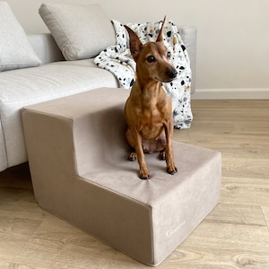 Beige 2-Step Dog Stairs | Foam Pet Steps for Small Dogs