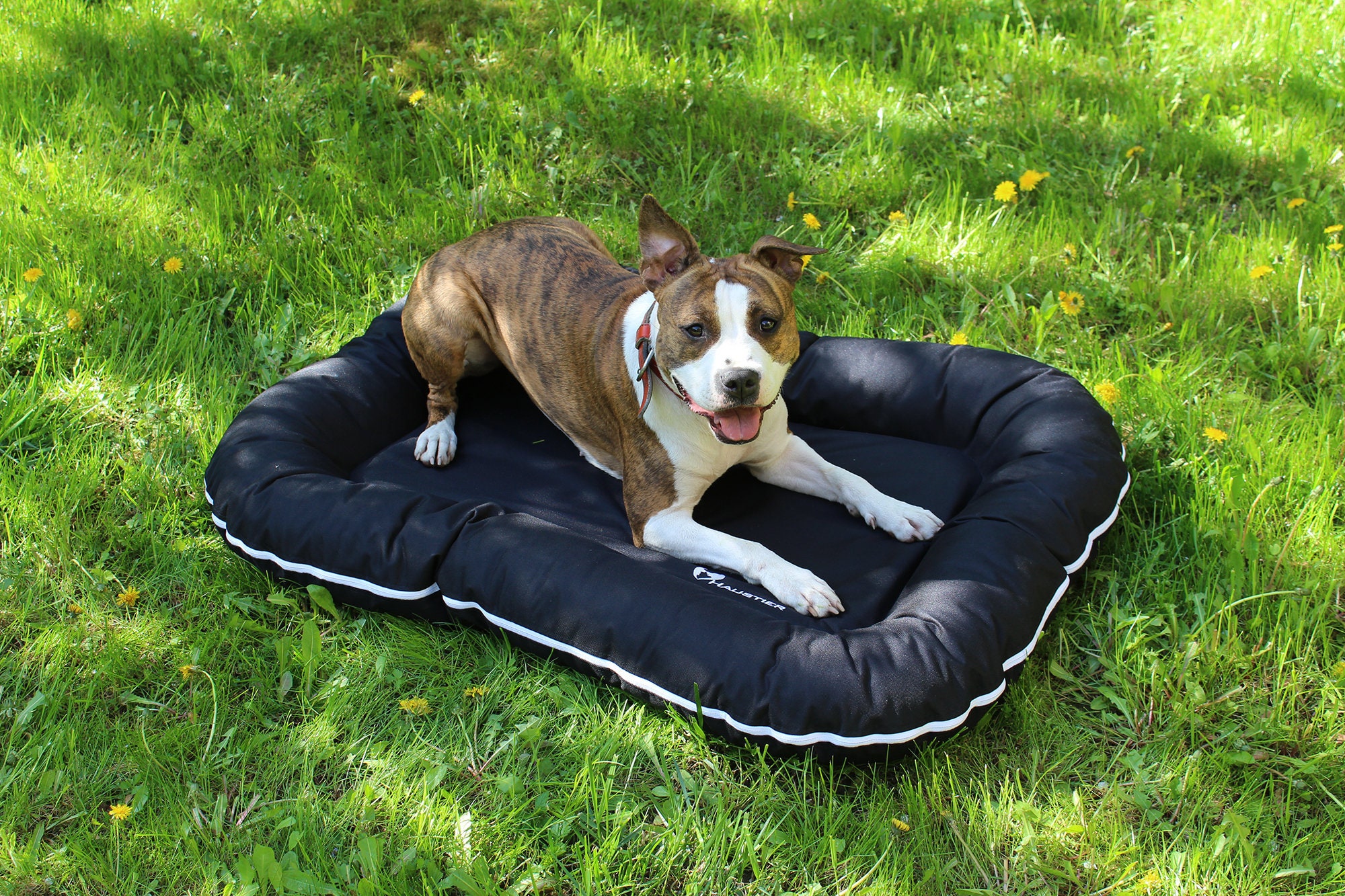 outdoor dogbeds