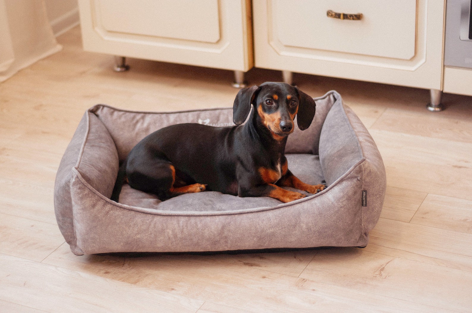 Indestructible Dog Bed With Removable Cover Modern Dog Bed Etsy
