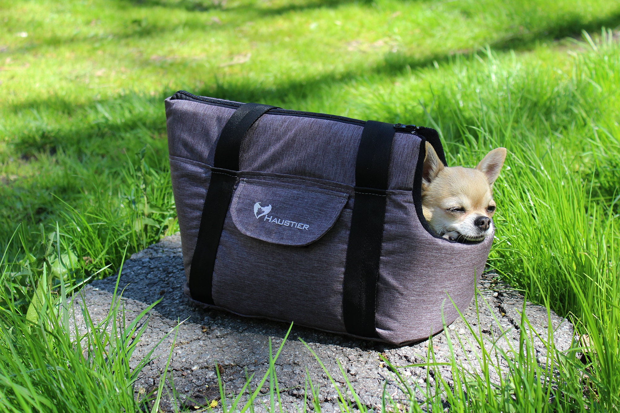 Gray Small Dog Carrier Dog Carry Handbag With Fleece Lining Etsy