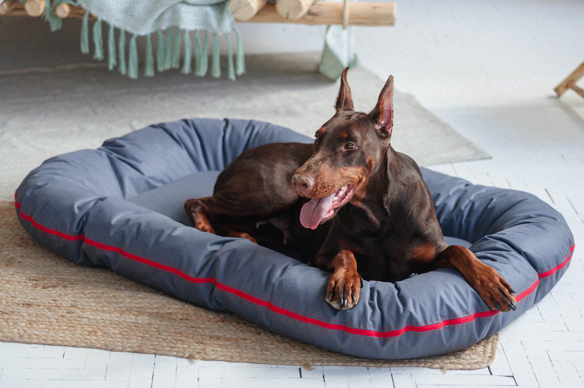 waterproof mats for pets