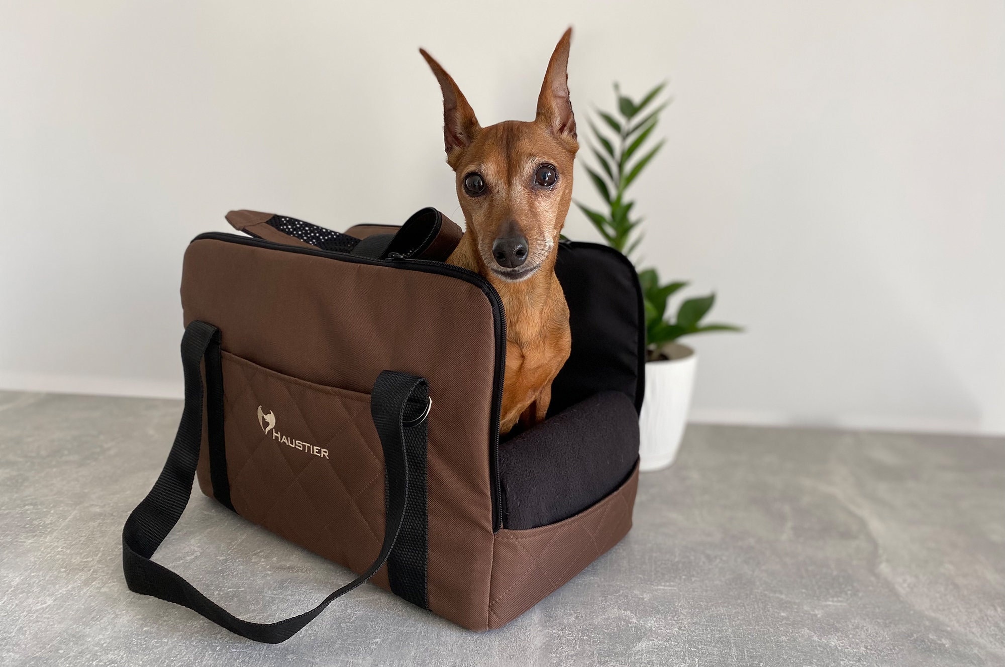 Waterproof Brown Pet Carrier Bag | Airline Approved Dog Cat Travel