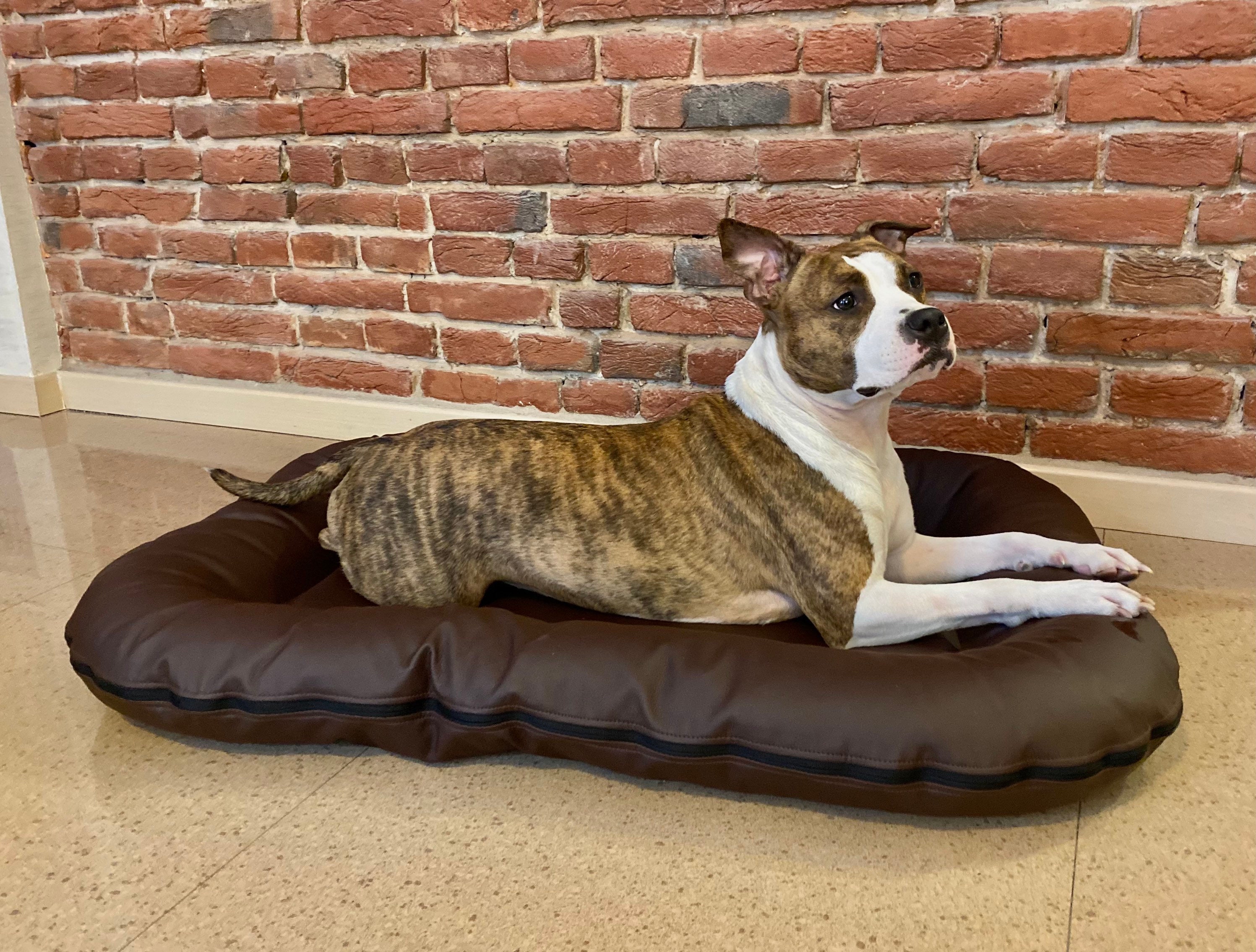 Large leather dog bed deals