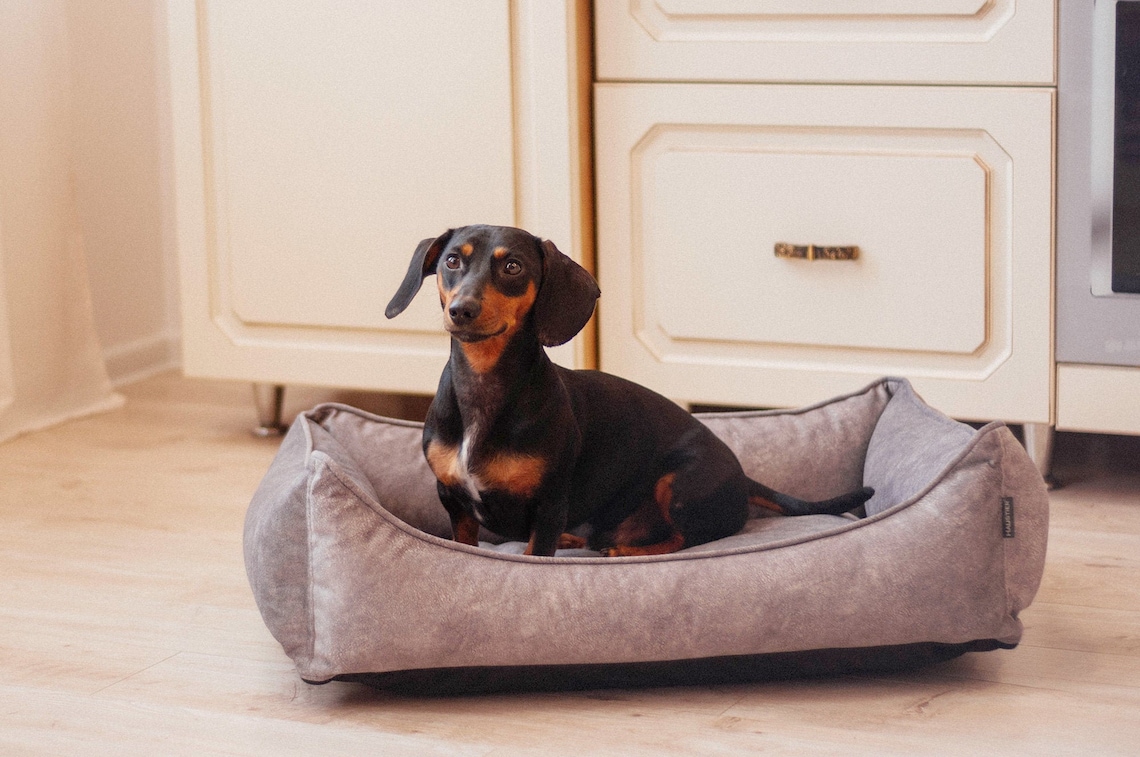 Indestructible Dog Bed With Removable Cover Modern Dog Bed Etsy