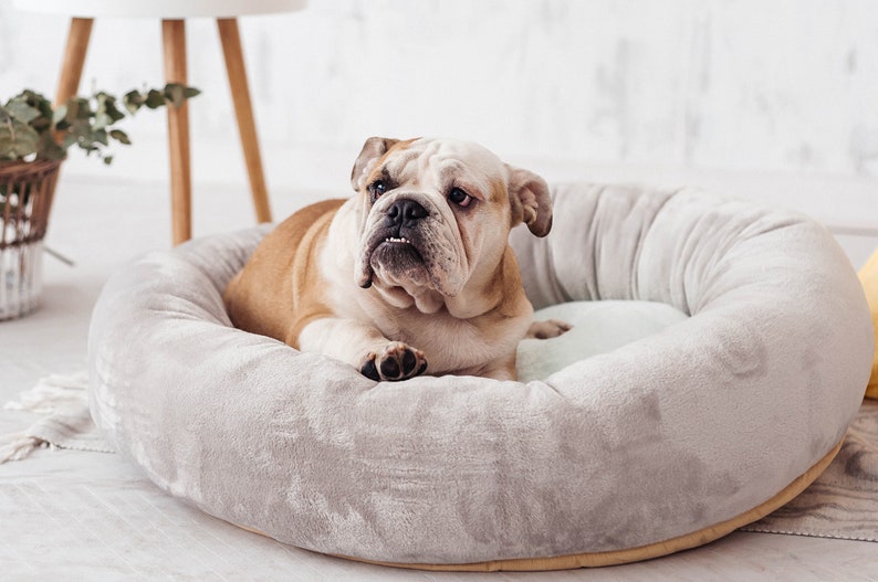 Gray & Mint Donut Dog Bed With Removable Cover Round Dog Bed Etsy