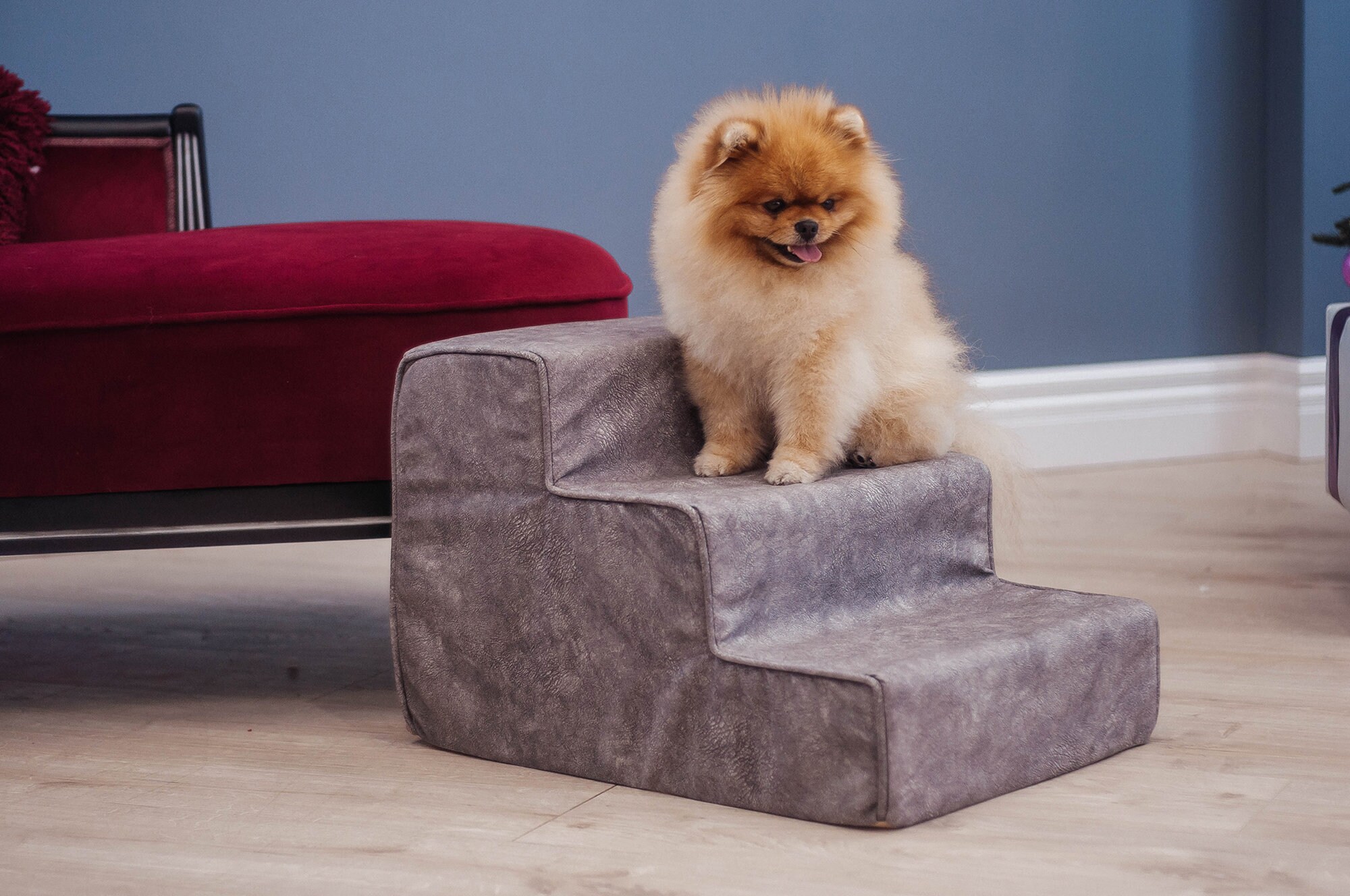 Ladder for Dogs on 3 steps Steps for dogs to get on bed Etsy