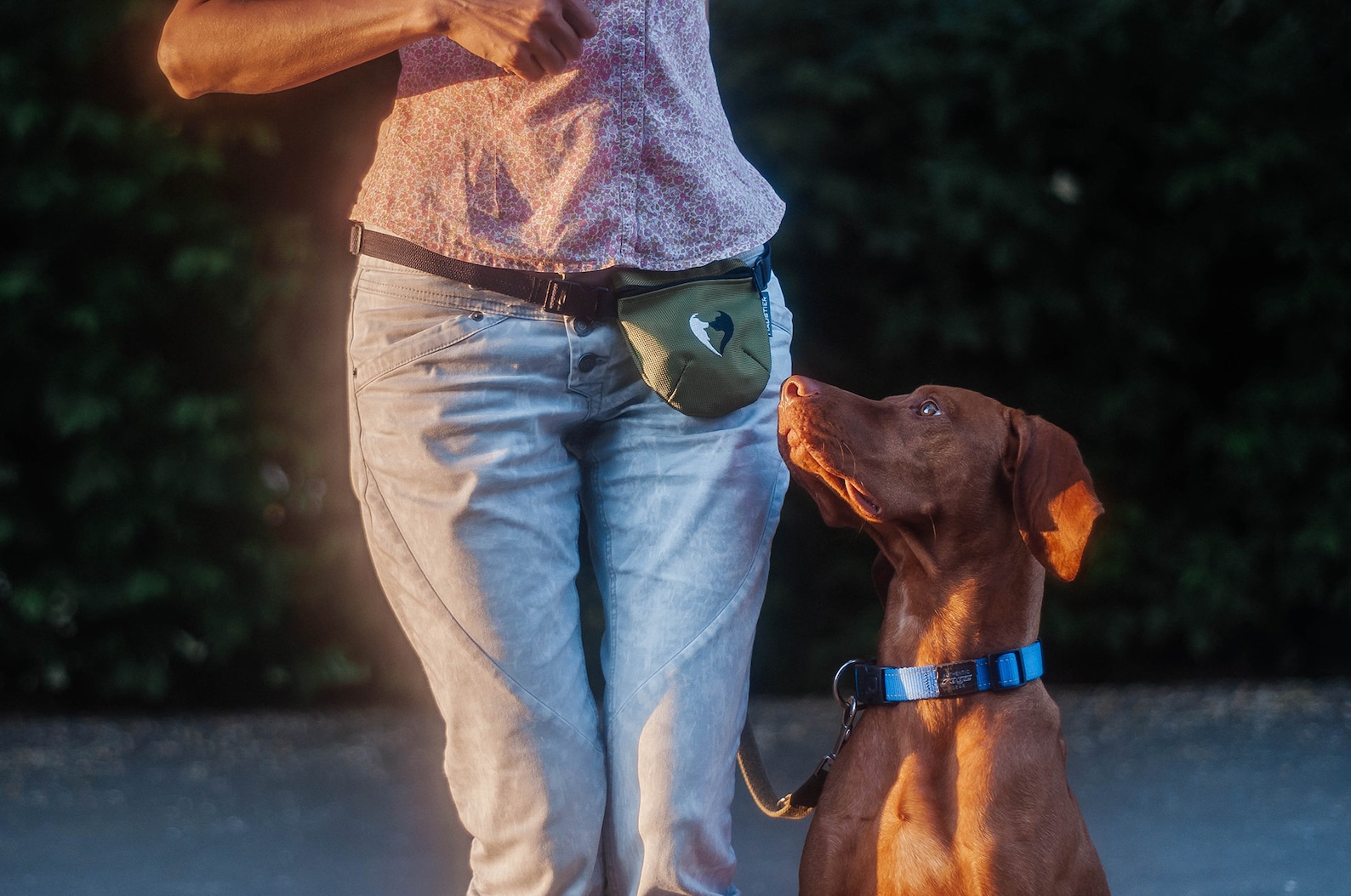 Dog Treat Bag Dog Training Treat Pouch Dog Treat Bum Bag Etsy