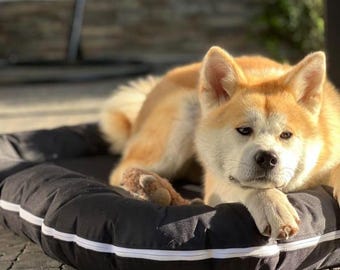 Letto per cani in tessuto Oxford nero / Lavabile, resistente, con fodera rimovibile